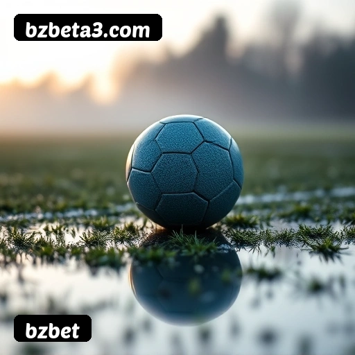 Estatísticas de bônus da bzbet em São Paulo, Rio de Janeiro e Brasília